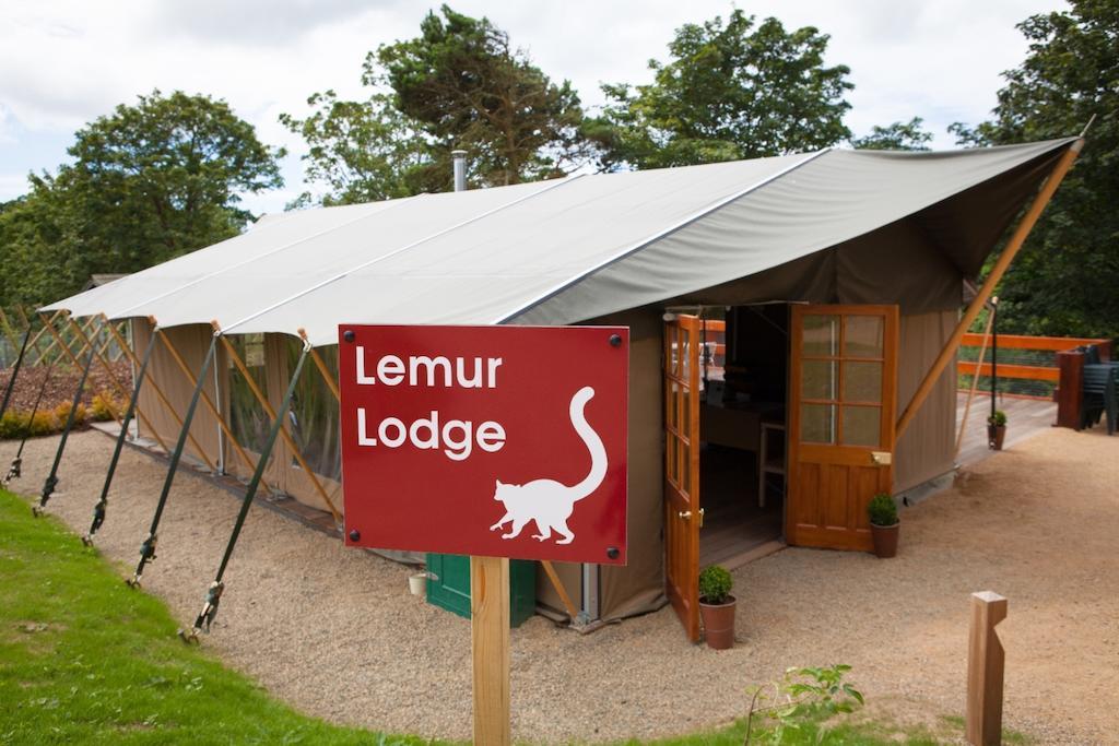 Durrell Wildlife Camp Hotel Trinity Exterior photo