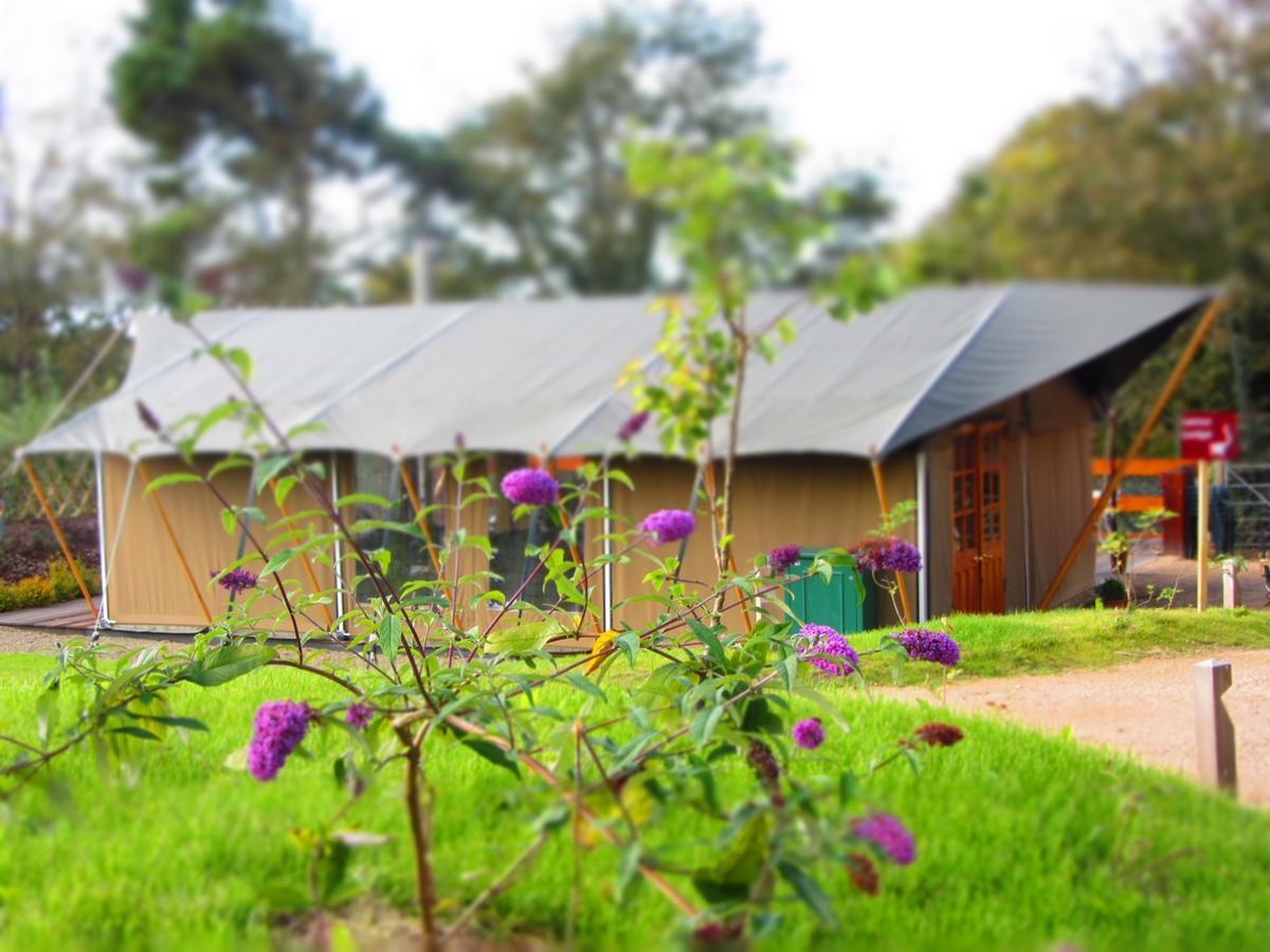 Durrell Wildlife Camp Hotel Trinity Exterior photo